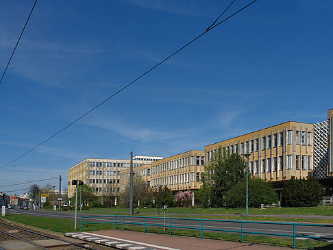 Fachhochschule - Brandenburg (Potsdam)
