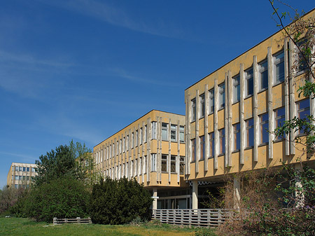 Fachhochschule - Brandenburg (Potsdam)