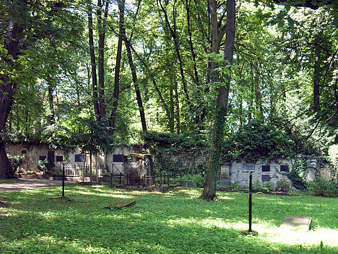 Historischer Friedhof - Thüringen (Weimar)
